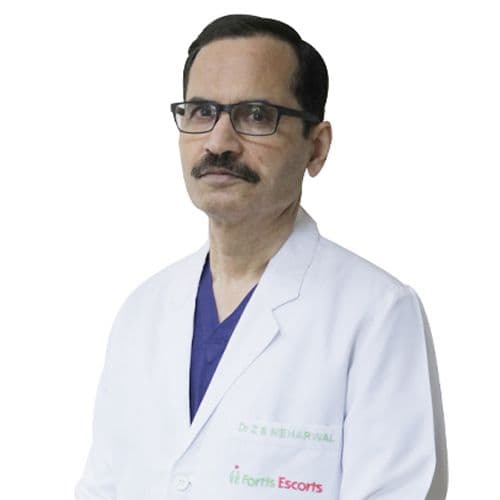 Portrait of Dr. Z S Meharwal